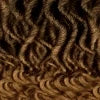 Shake-N-Go Synthetic Wig Harmony Birdie Hair Wigs for Women Daily Use