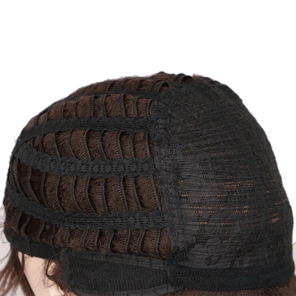 SuQ Classic Curly Wig Synthetic Natural For Women Hair Wigs Cosplay Brown With Blonde Heat Resistant Daily Wigs